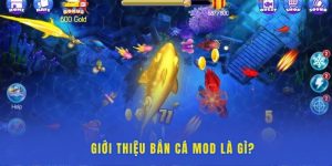 Thông tin giới thiệu về trò chơi bắn cá mod